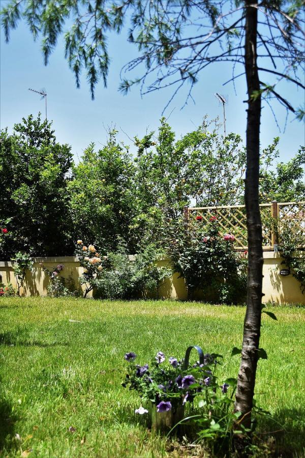 Avgi Garden House Chania With Private Entrance Экстерьер фото